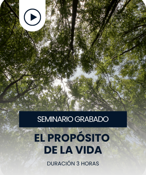 miniatura del curso